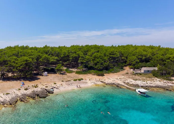 Cozy In Διαμέρισμα *